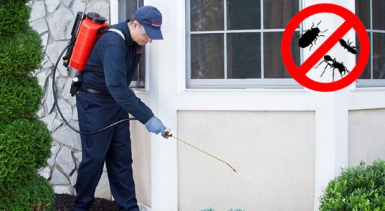 Talas Gümüşkurt İlaçlama böcek ilaçlama ve haşere kontrolü — ilaclama-tr.com